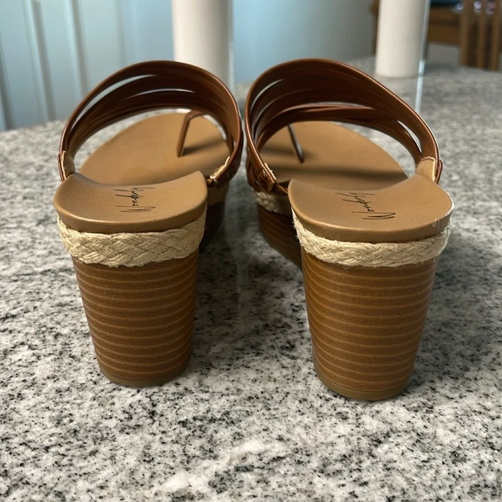 Woman’s Brown Strappy Platform Wedge Size 6 Sandals